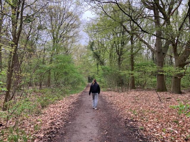 Stacaravan Huren In Het Hart Van Bosrijk Drenthe Op Recreatiepark De Tien Heugten Schoonloo Buitenkant foto