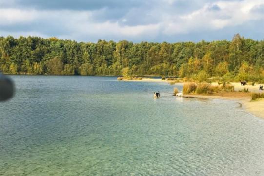 Stacaravan Huren In Het Hart Van Bosrijk Drenthe Op Recreatiepark De Tien Heugten Schoonloo Buitenkant foto